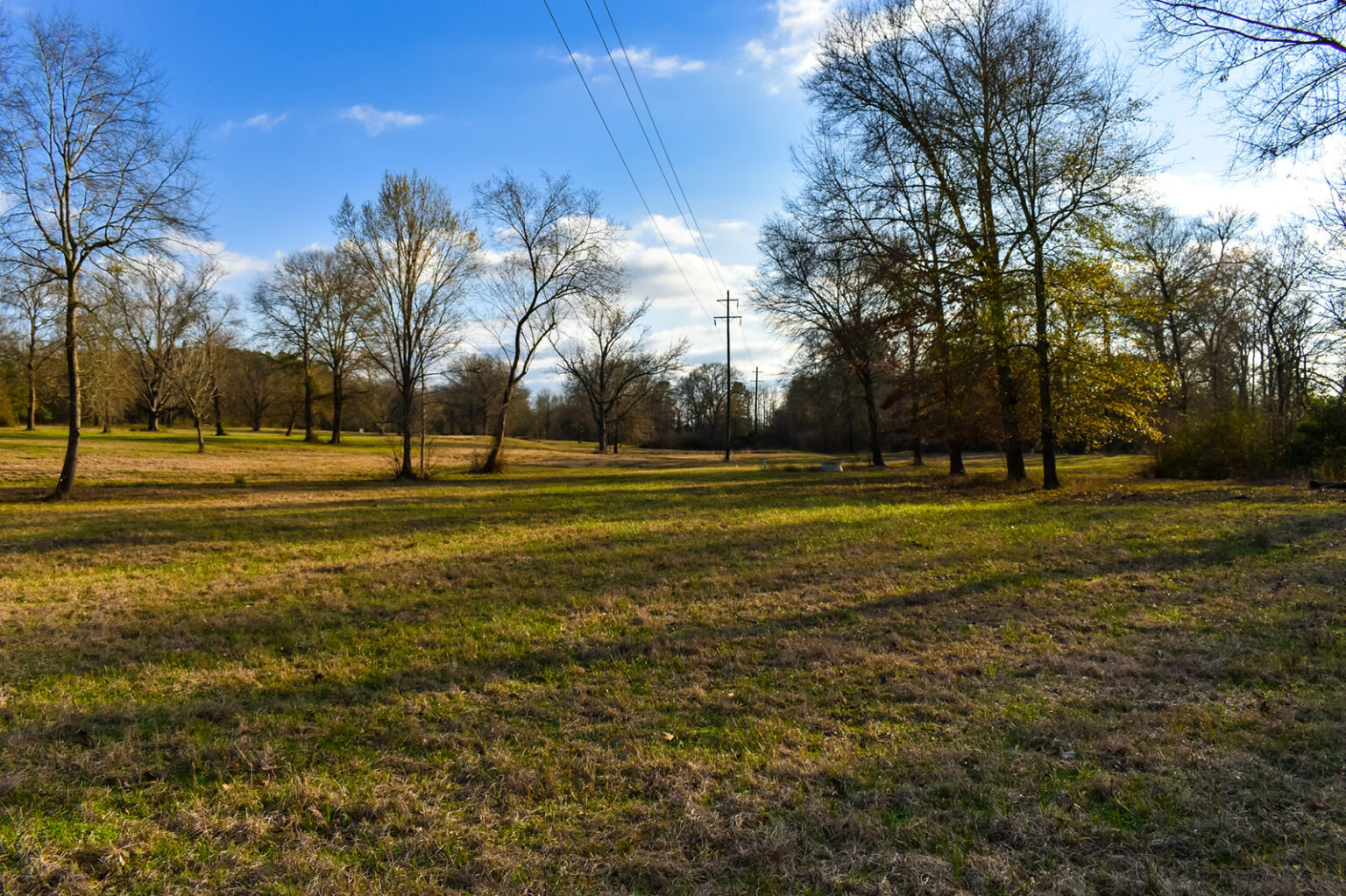 Willow Lake Farm Texas Ranch Kings Realty