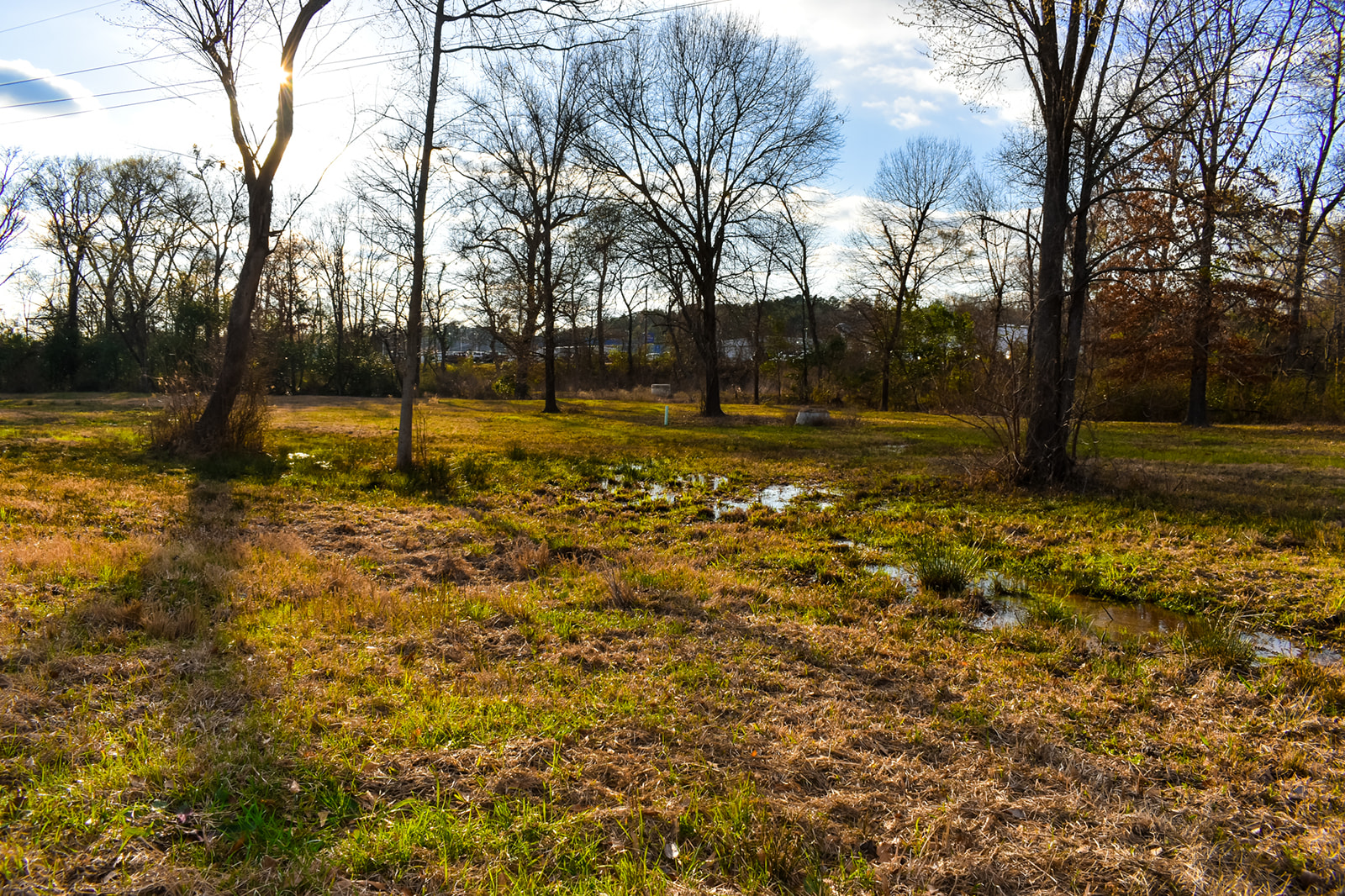 Willow Lake Farm Texas Ranch Kings Realty