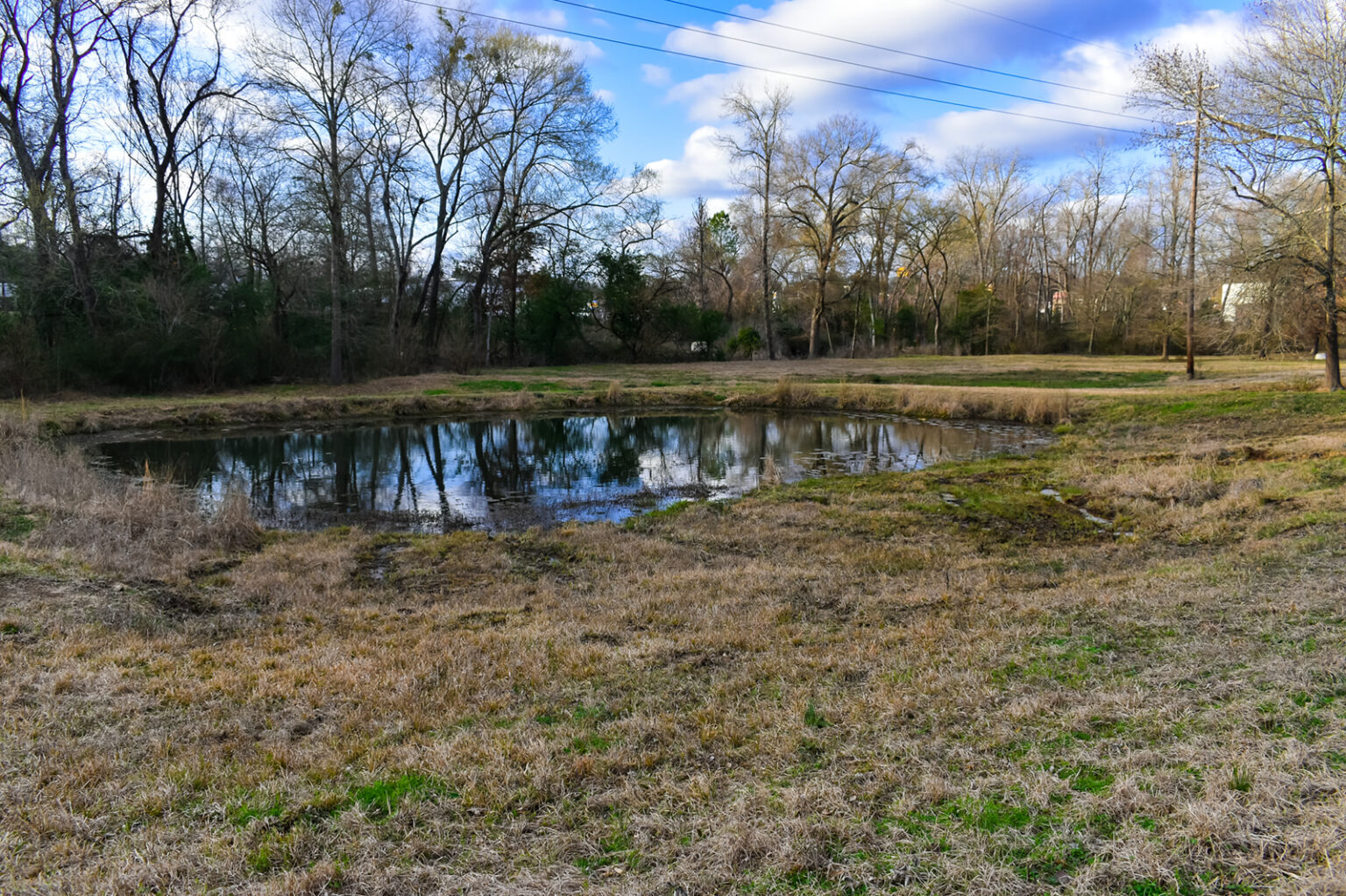 Willow Lake Farm Texas Ranch Kings Realty