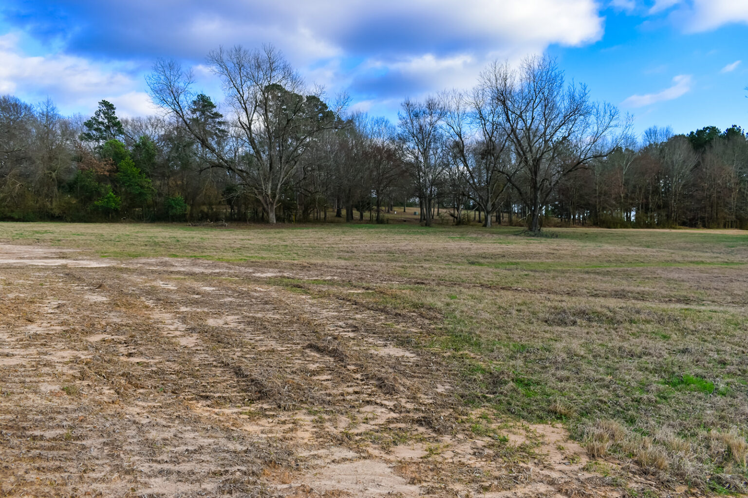 Willow Lake Farm Texas Ranch Kings Realty