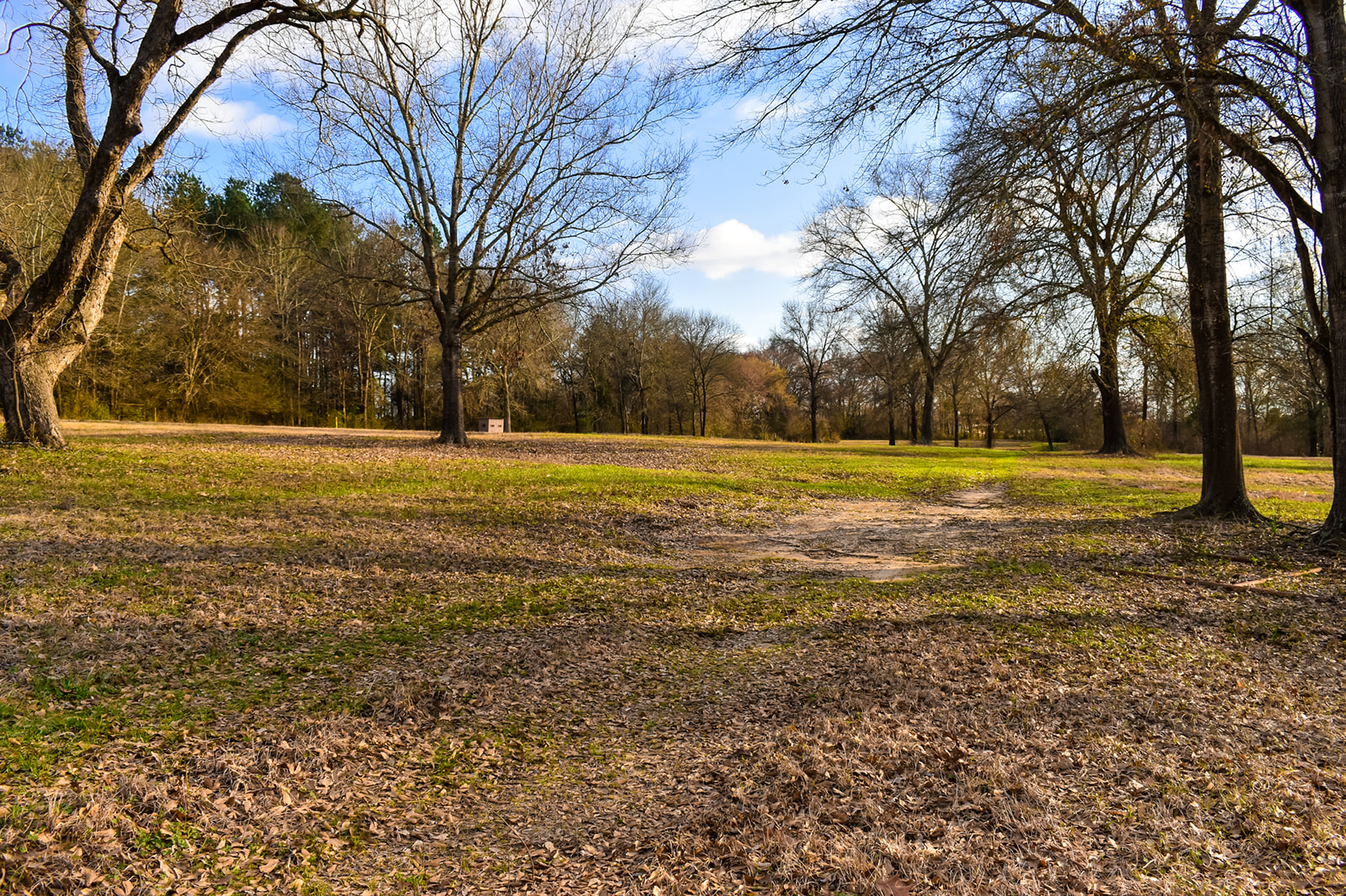 Willow Lake Farm Texas Ranch Kings Realty