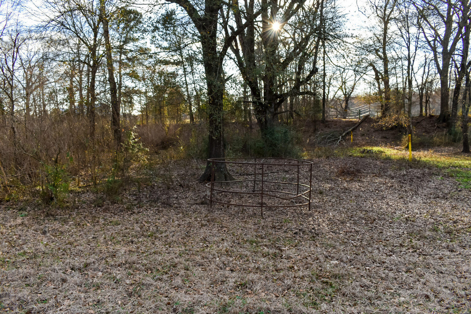 Willow Lake Farm Texas Ranch Kings Realty