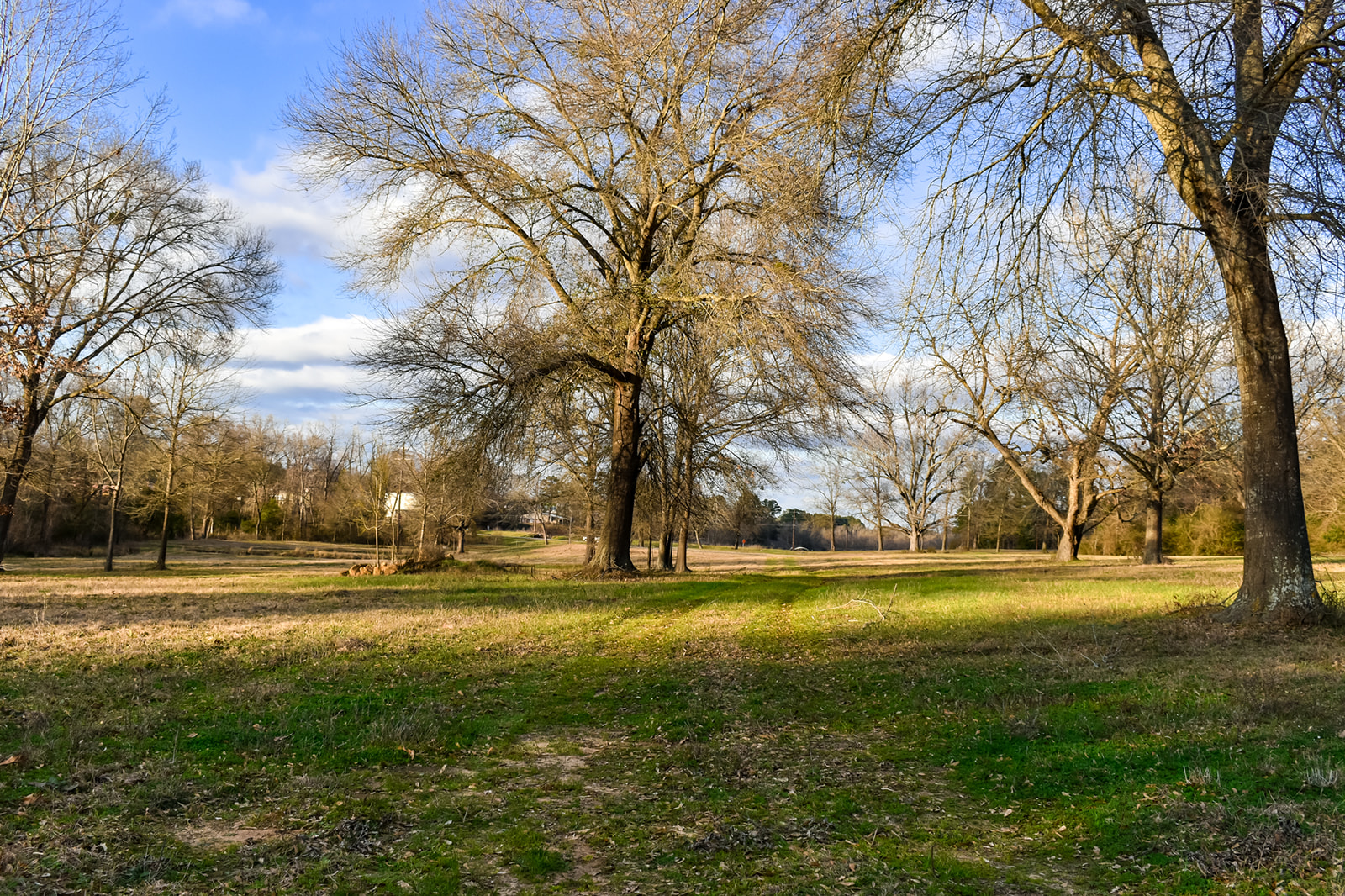 Willow Lake Farm Texas Ranch Kings Realty