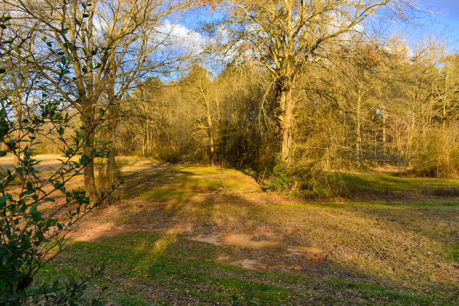 Willow Lake Farm Texas Ranch Kings Realty