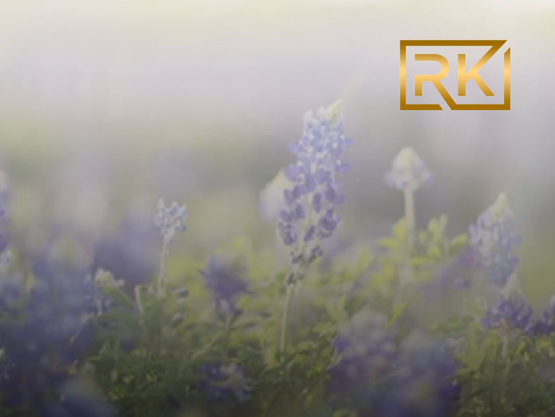 Texas Ranch Kings Realty, LLC cover