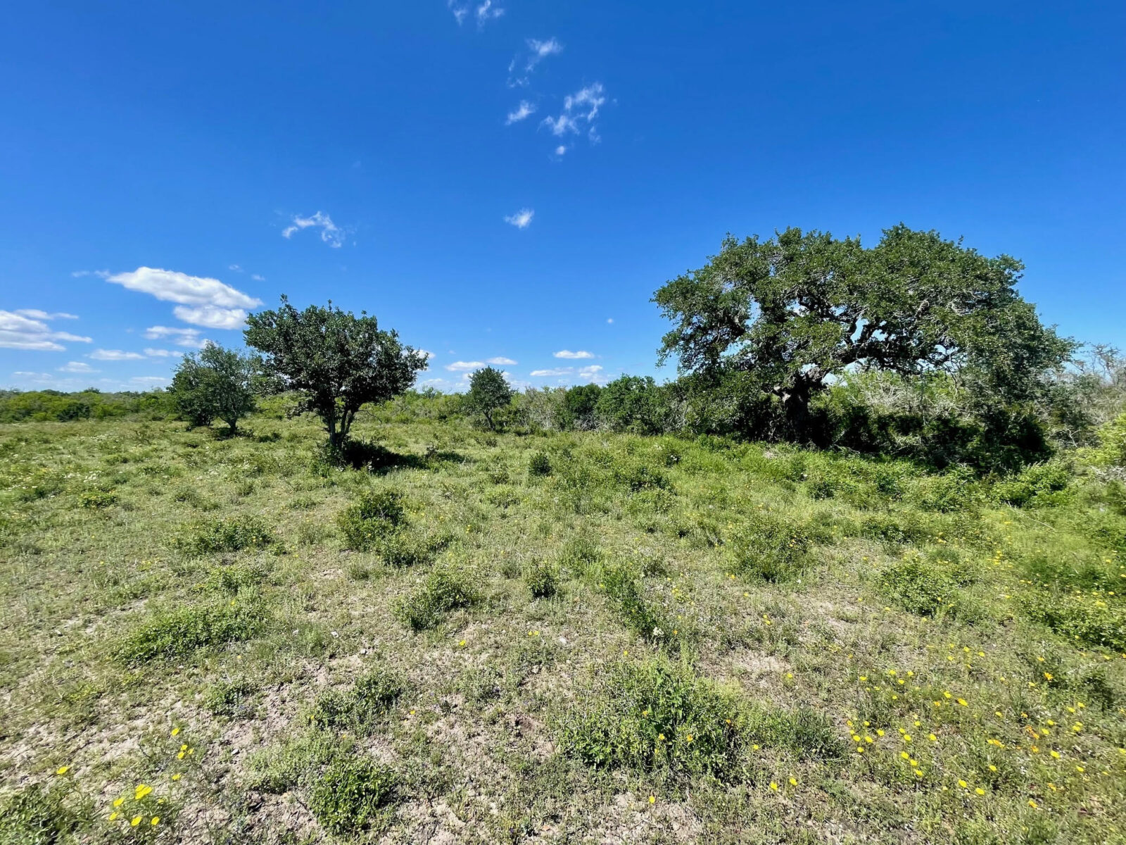 Triple E Ranch - Texas Ranch Kings Realty