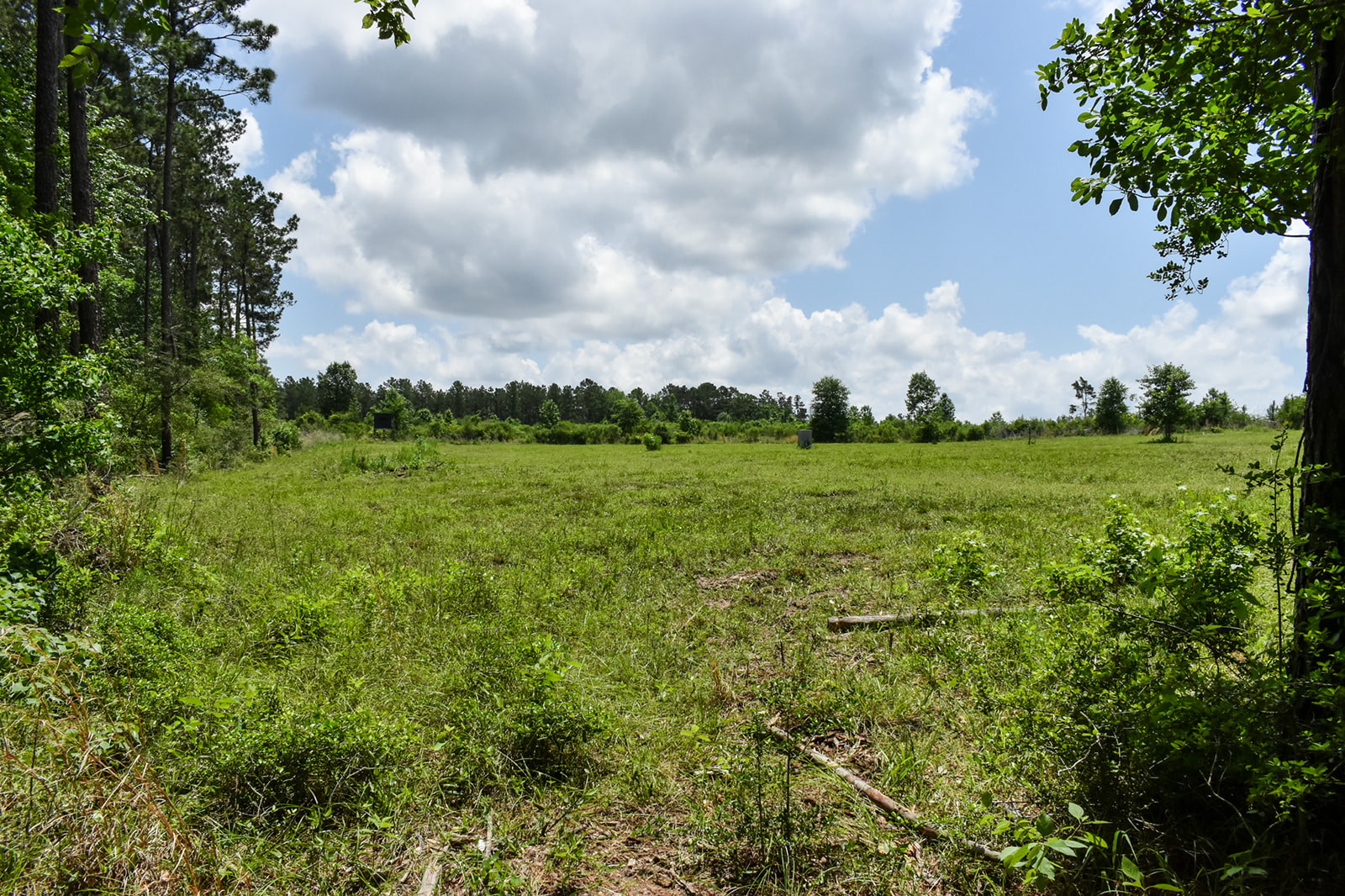 Oakdale Ranchette