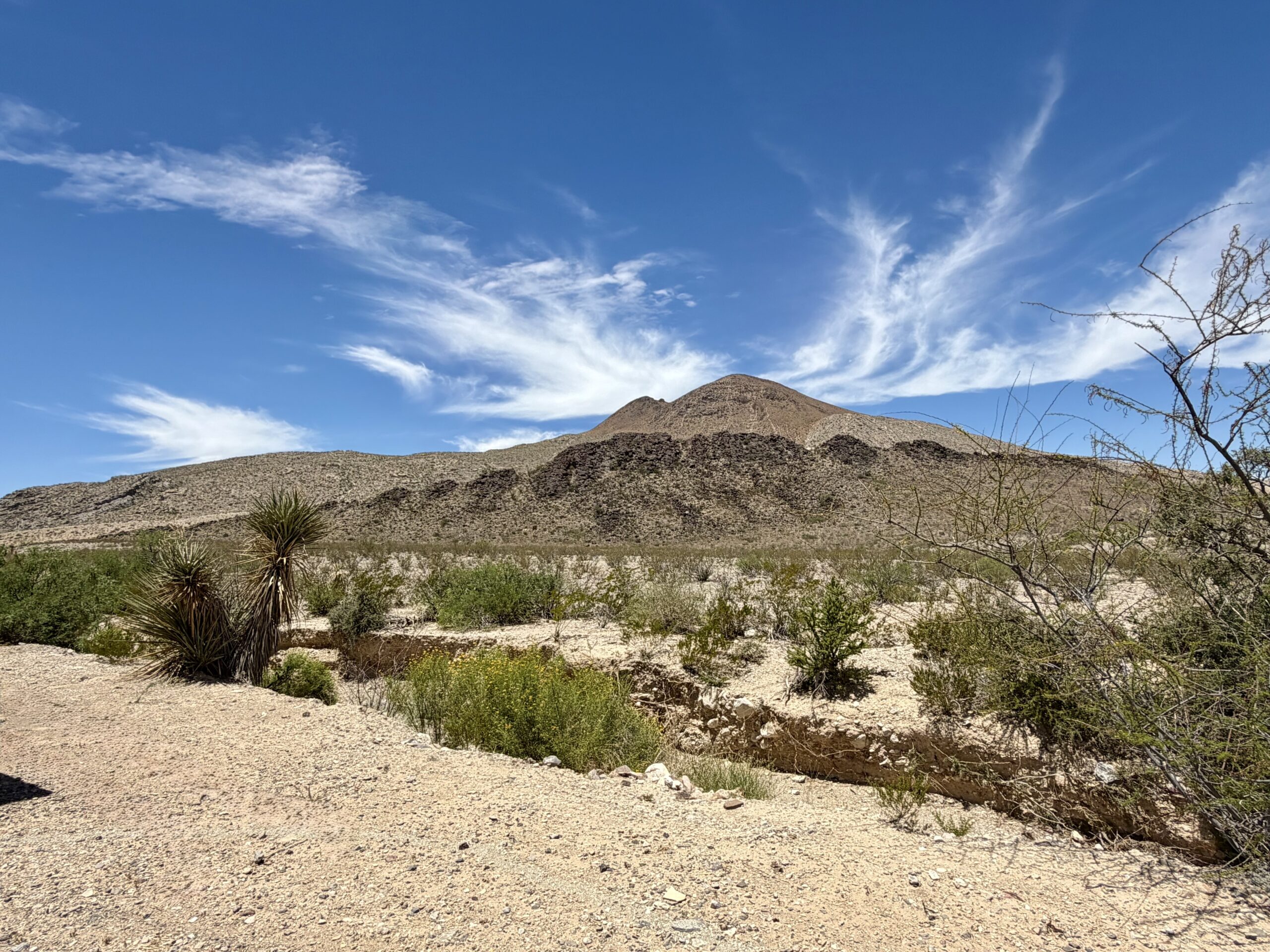 Seahorse 20 Terlingua