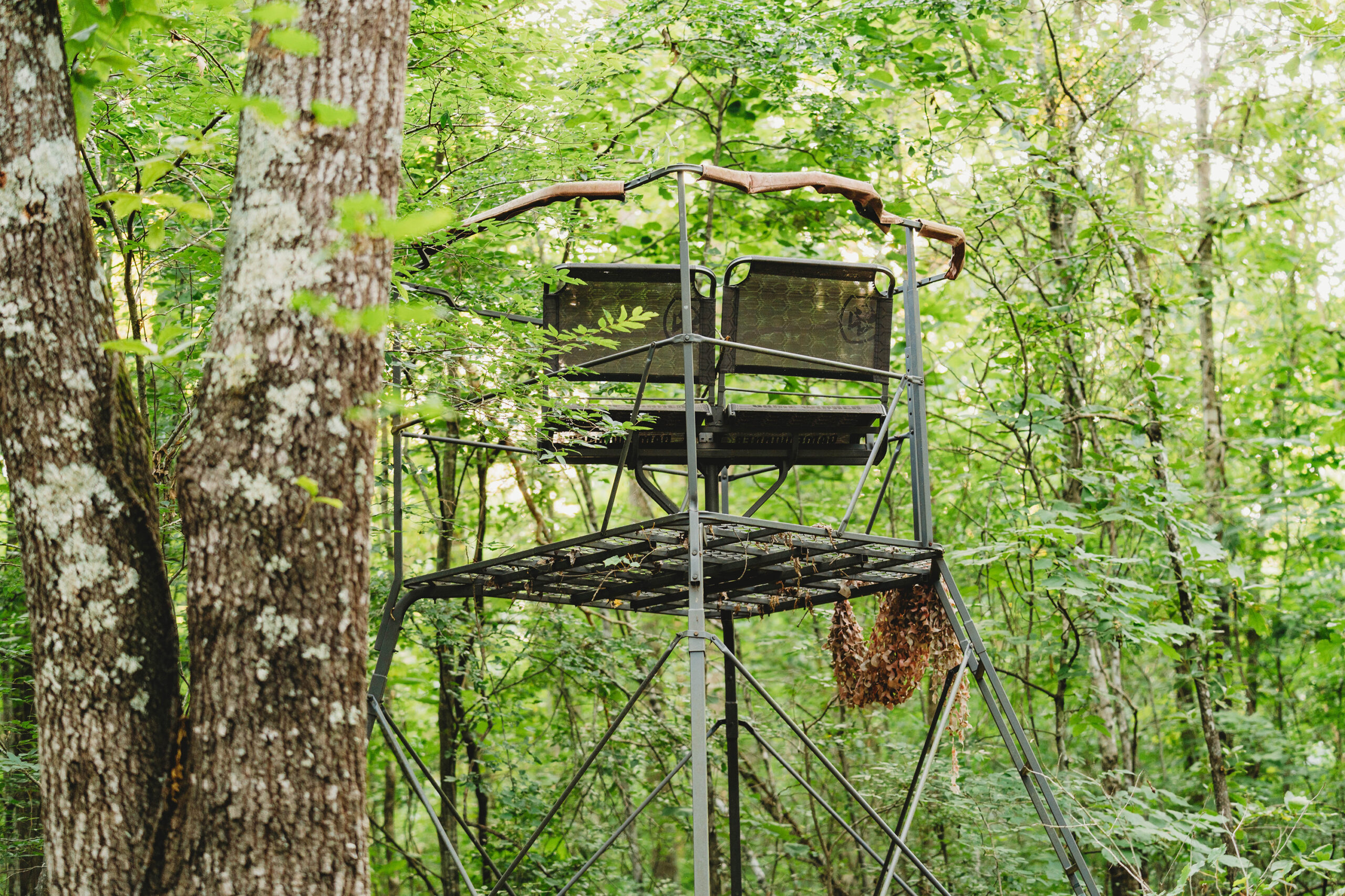 Bogata Hunting Ranch