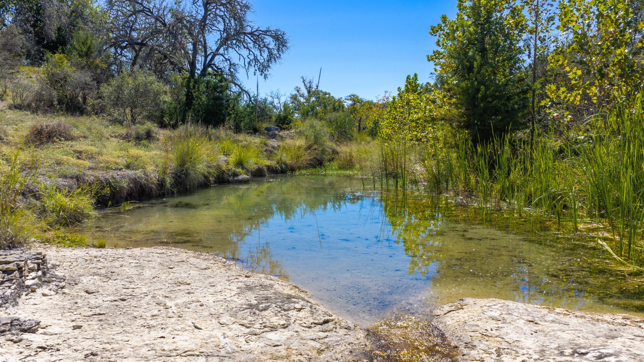 Sisterdale Springs Ranch